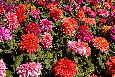 《驱灵者：新伊甸的幽灵》11月7日发布 玩家扮演驱灵者