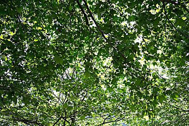 343又失一名大将：工程总监将离职 曾领导开发了《光环无限》引擎